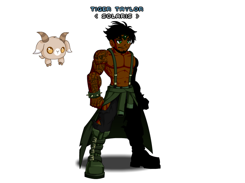 tiger taylor
